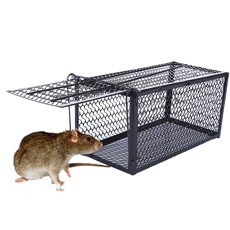 Plastic Mouse Trap-NRTP002 - Hangzhou Kunda Technology Co.,Ltd.