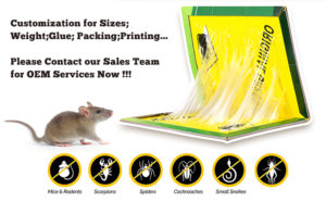 mouse glue trap