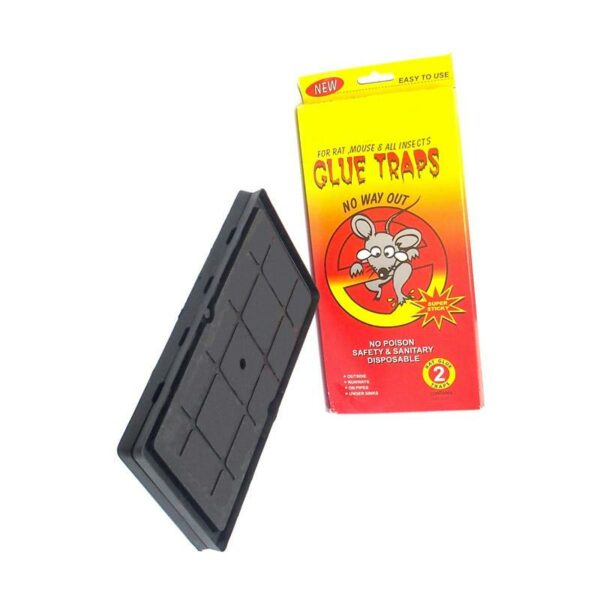 plastic tray rat glue trap