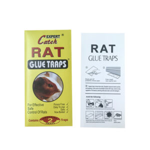 rat glue board