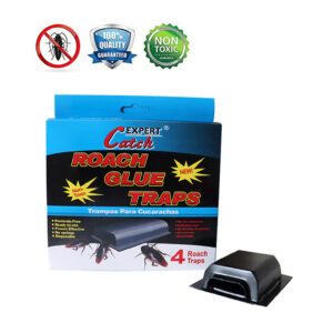 roach glue trap