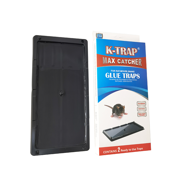 K trap rat glue trap