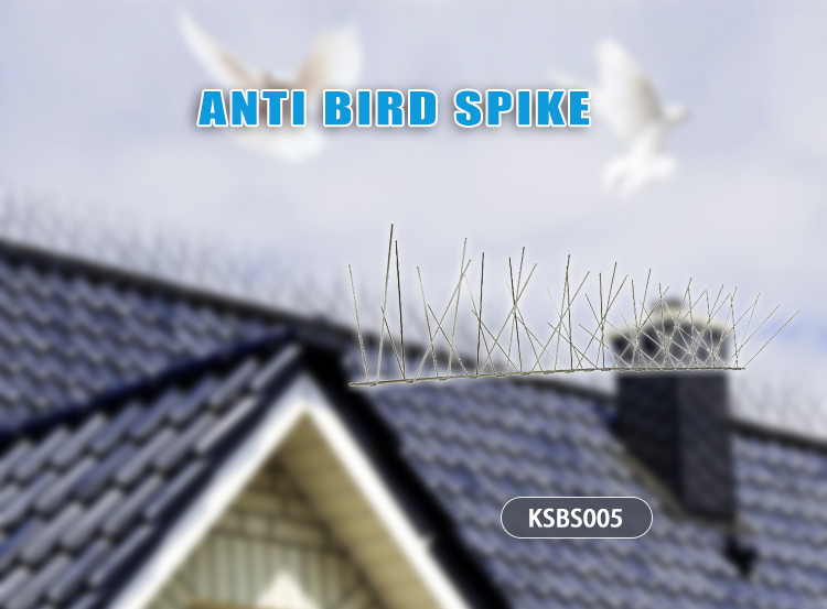 bird spike factory
