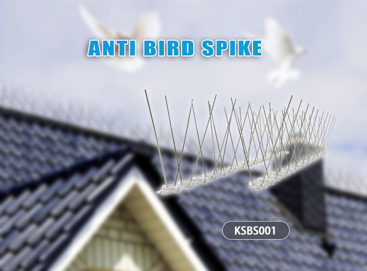 bird spike