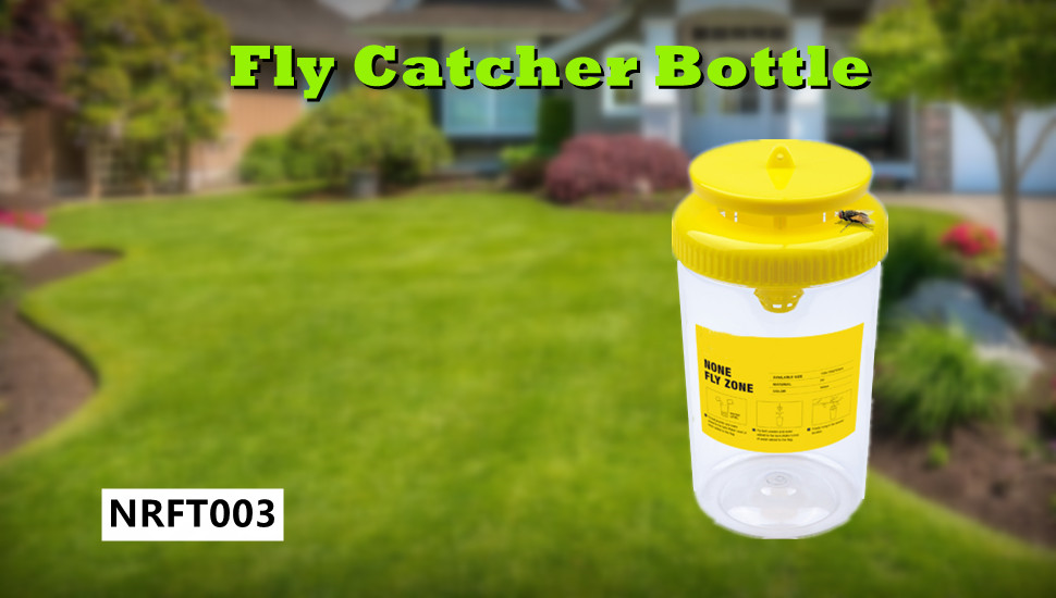 fly catcher bottle
